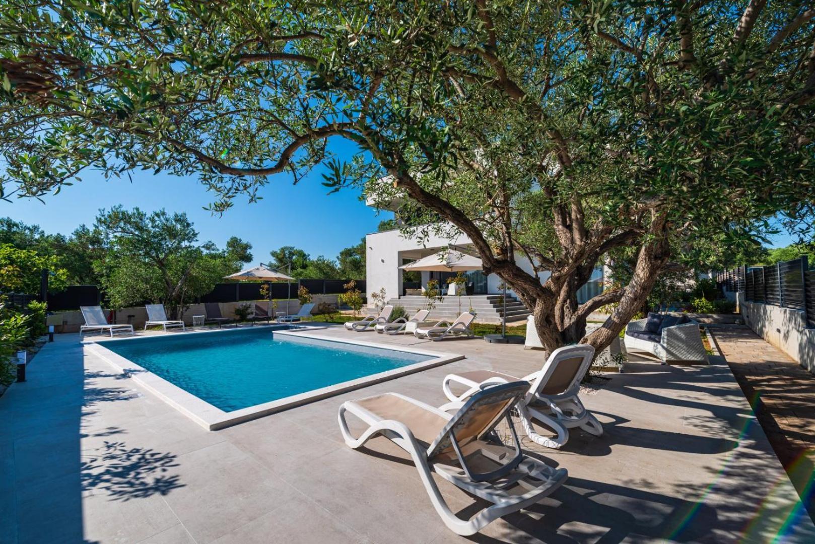 Crowonder Sun Dance Apartments With Heated Swimming Pool Seaview And Garden Sveti Filip i Jakov Zewnętrze zdjęcie